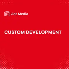 Custom Development