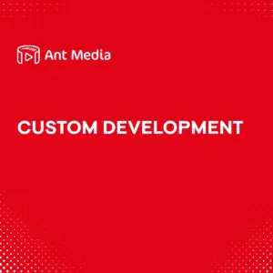 Custom Development