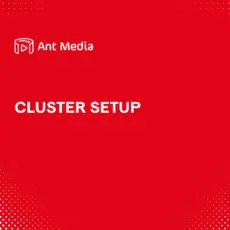 Cluster Setup