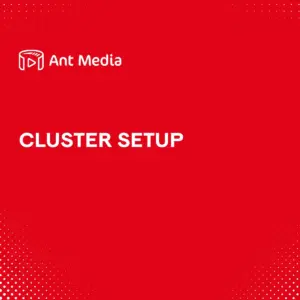 Cluster Setup