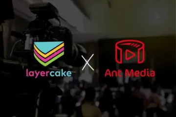 Layercake-and-Ant-Media