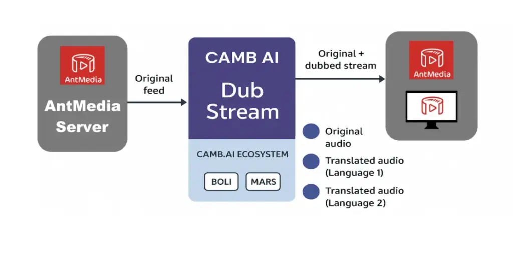 Real Time Multilingual-Streaming camb.ai